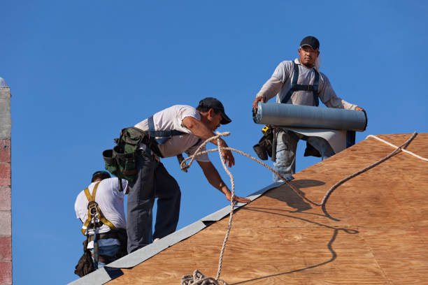 Professional Roofing Contractor in Micco, FL